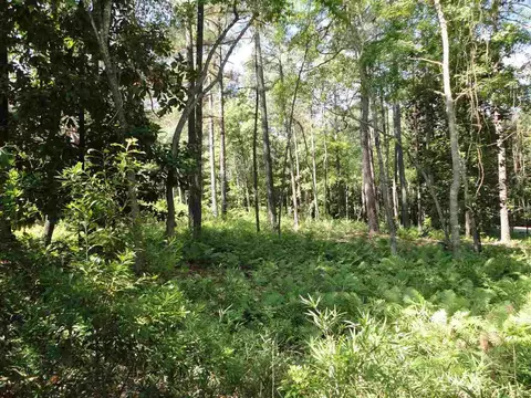 25 Lochmere Dr, Pinehurst, NC 28374 photo 5