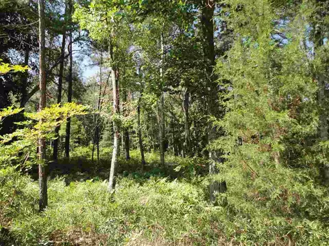 25 Lochmere Dr, Pinehurst, NC 28374 photo 4