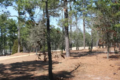 27 Chestertown Dr, Pinehurst, NC 28374 photo 4