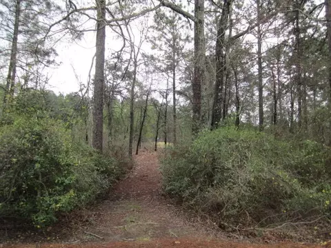 178 National Dr, Pinehurst, NC 28374 photo 7