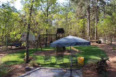 114 Pinecone Ct, West End, NC 27376 photo 35