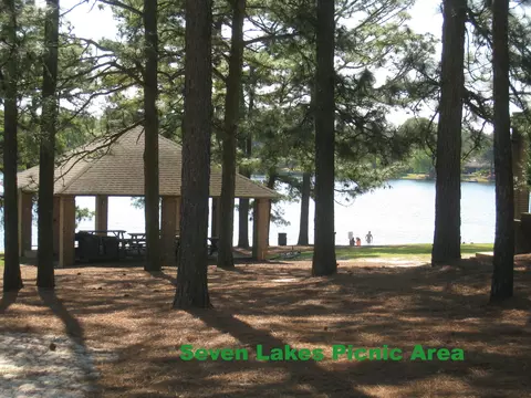 114 Pinecone Ct, West End, NC 27376 photo 38