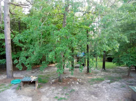 1111 Rollins Ave, Hamlet, NC 28345 photo 22