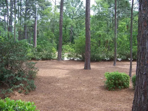 355 Pinehurst Trace Dr, Pinehurst, NC 28374 photo 20