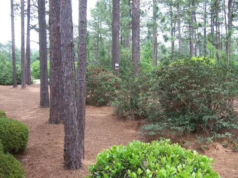 355 Pinehurst Trace Dr, Pinehurst, NC 28374 photo 19