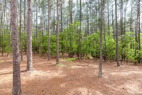 32 Stoneykirk Dr, Pinehurst, NC 28374 photo 21