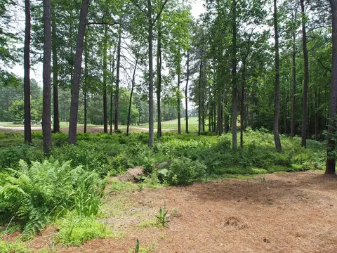 22 Oxton Cir, Pinehurst, NC 28374 photo 37