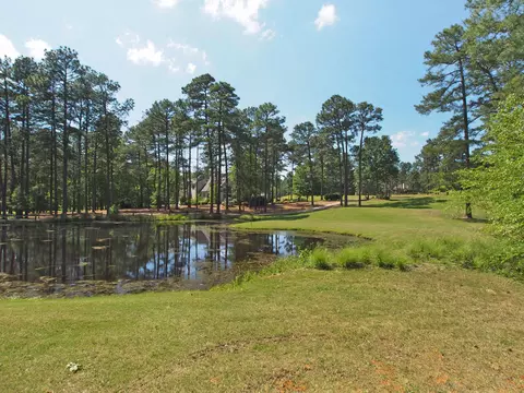 22 Whithorn Ct, Pinehurst, NC 28374 photo 33