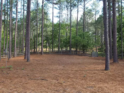 307 Longleaf Dr, West End, NC 27376 photo 32