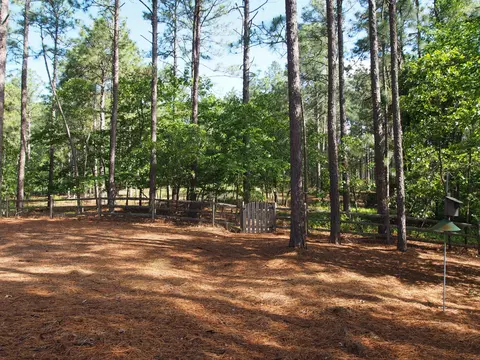 307 Longleaf Dr, West End, NC 27376 photo 31