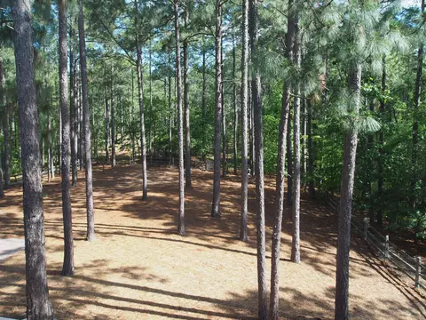 307 Longleaf Dr, West End, NC 27376 photo 28