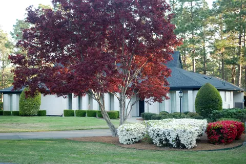 60 Eldorado Ln, Pinehurst, NC 28374 photo 1