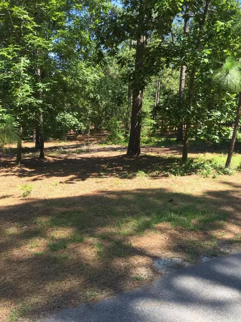 4 Sugar Gum Ln, Pinehurst, NC 28374 photo 4