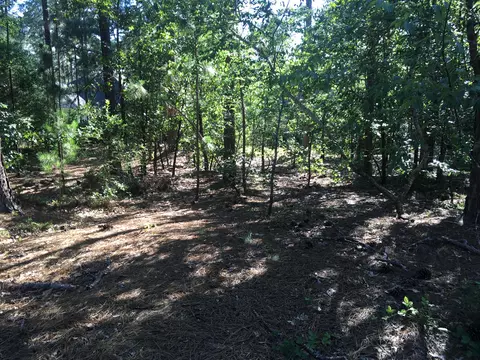 5 Palm Ln, Pinehurst, NC 28374 photo 3