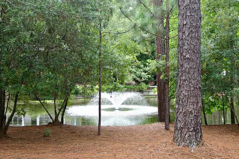19 Kilbride Dr, Pinehurst, NC 28374 photo 4