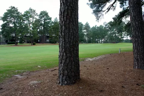 5 Pine Tree Rd #104, Pinehurst, NC 28374 photo 36