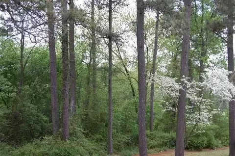933 Thrush Dr, Vass, NC 28394 photo 2