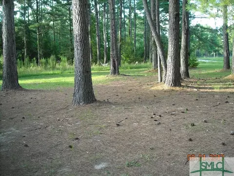 216 Douglas Rd, Springfield, GA 31329 photo 21