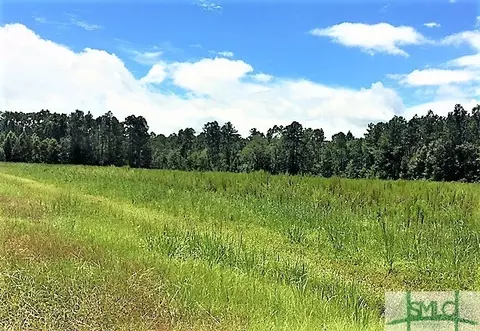 0 Hwy 21, Springfield, GA 31329 photo 1