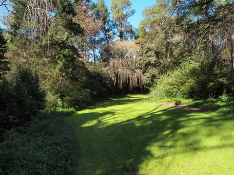 175 Linden Rd, Pinehurst, NC 28374 photo 41
