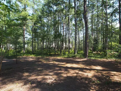 67 Glasgow Dr, Pinehurst, NC 28374 photo 37