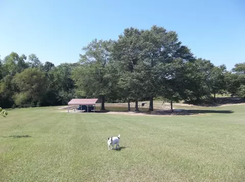 1794 Cole Rd, Biscoe, NC 27209 photo 5