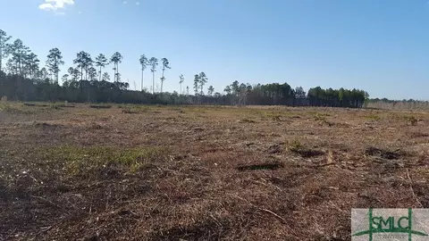 700 Race Path Rd, Rincon, GA 31326 photo 3