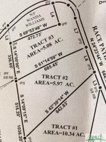 700 Race Path Rd, Rincon, GA 31326 photo 2