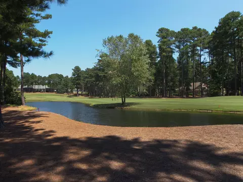 19 Mcmichael Dr, Pinehurst, NC 28374 photo 49