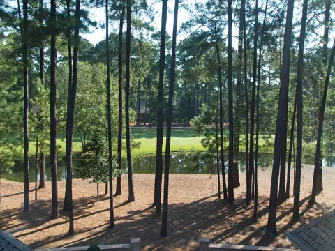 19 Mcmichael Dr, Pinehurst, NC 28374 photo 50