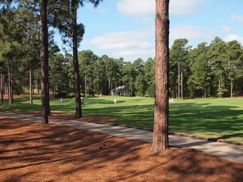 52 Mcmichael Dr, Pinehurst, NC 28374 photo 35