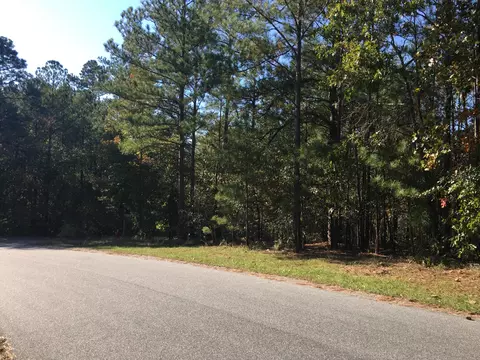 135 Kingswood Cir, Pinehurst, NC 28374 photo 2