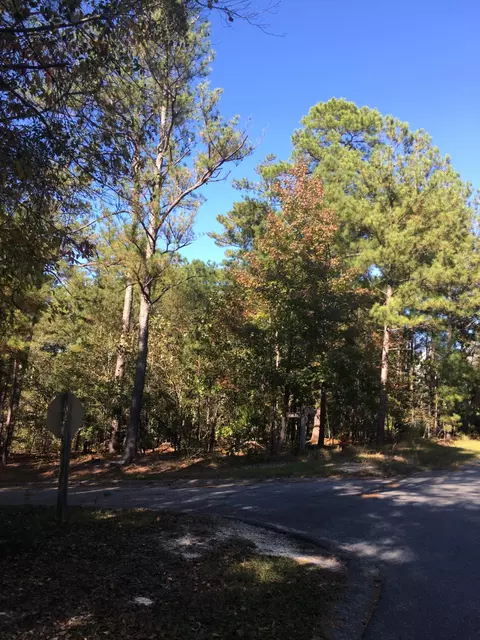135 Kingswood Cir, Pinehurst, NC 28374 photo 3