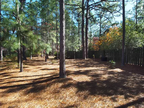 60 Wilson Rd, Pinehurst, NC 28374 photo 38