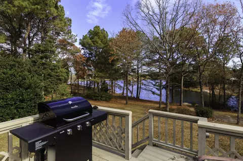102 Firetree Ln, West End, NC 27376 photo 17