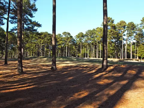 32 Greyabbey Dr, Pinehurst, NC 28374 photo 41