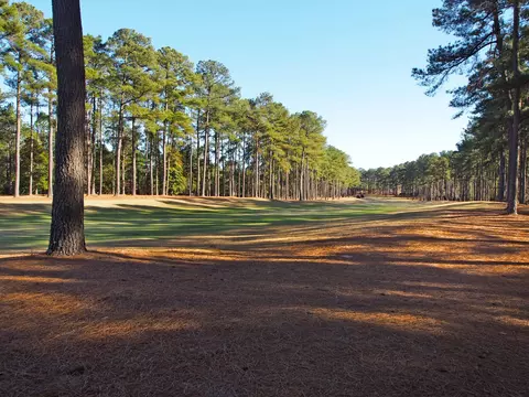 32 Greyabbey Dr, Pinehurst, NC 28374 photo 43