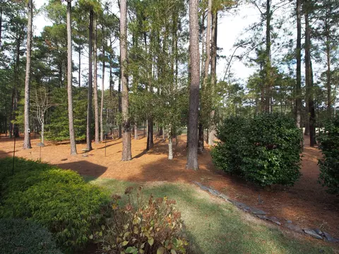 32 Greyabbey Dr, Pinehurst, NC 28374 photo 39