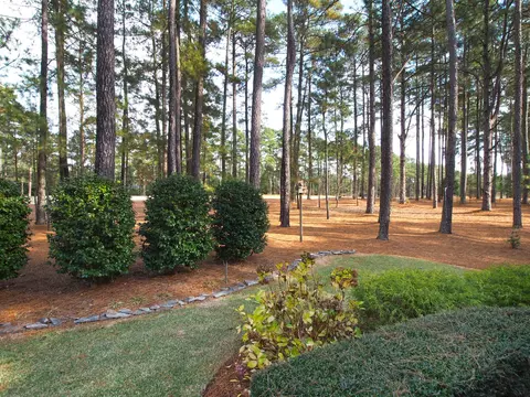 32 Greyabbey Dr, Pinehurst, NC 28374 photo 38