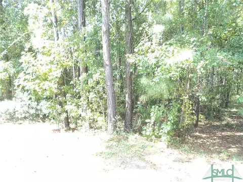 103 Red Bluff Run, Rincon, GA 31326 photo 3