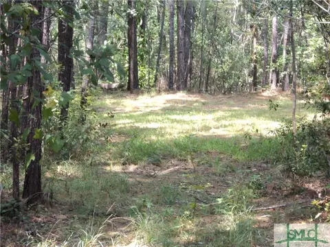 103 Red Bluff Run, Rincon, GA 31326 photo 10