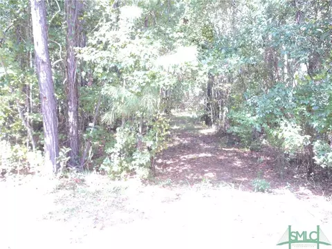 103 Red Bluff Run, Rincon, GA 31326 photo 1