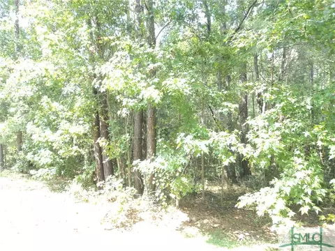 103 Red Bluff Run, Rincon, GA 31326 photo 2