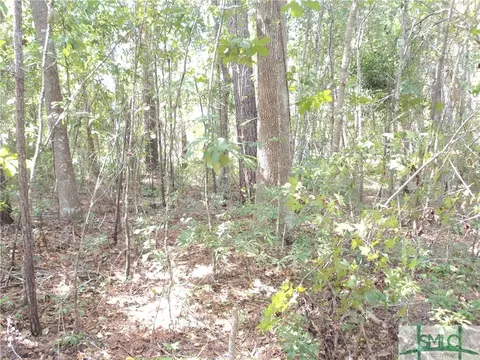 103 Red Bluff Run, Rincon, GA 31326 photo 8