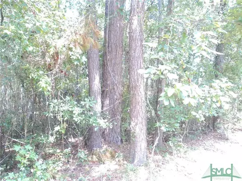 103 Red Bluff Run, Rincon, GA 31326 photo 4
