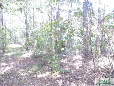 103 Red Bluff Run, Rincon, GA 31326 photo 6
