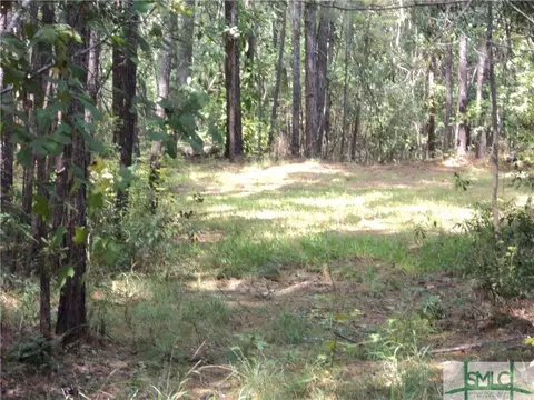 103 Red Bluff Run, Rincon, GA 31326 photo 11