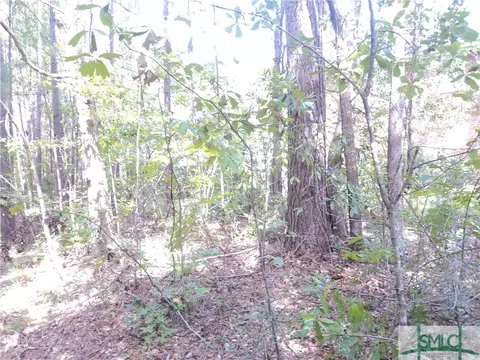 103 Red Bluff Run, Rincon, GA 31326 photo 9