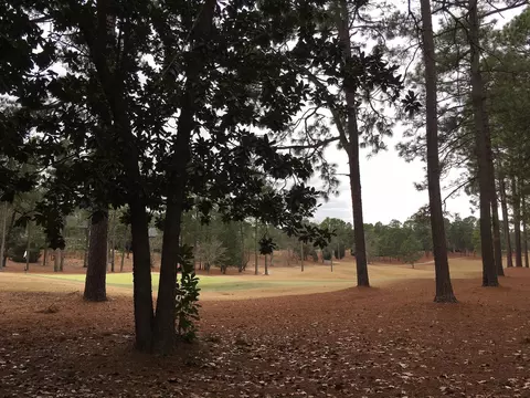 23 Whitehaven Dr, Pinehurst, NC 28374 photo 8