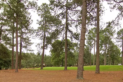 45 Whitehaven, Pinehurst, NC 28374 photo 29